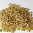 Organic Brown Rice (New Batch)