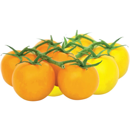 organic yellow bunch tomatoes