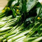 Organic Canton Caixin