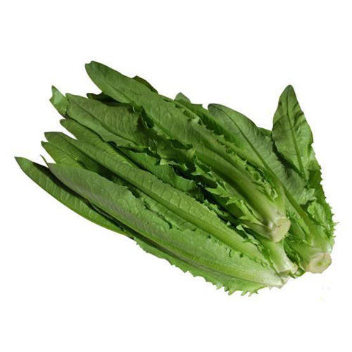 eco savory lettuce