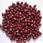 Organic Red Beans (New Batch)