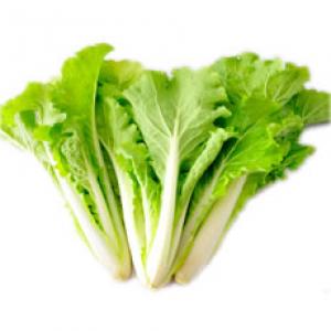 有机毛毛菜(杭白菜)_有机蔬菜_蔬菜_所有产品_和乐康_上海_有机食品_有机食品网_有机生活网_有机食品送到家_有机食品配送_有机食品礼品配送